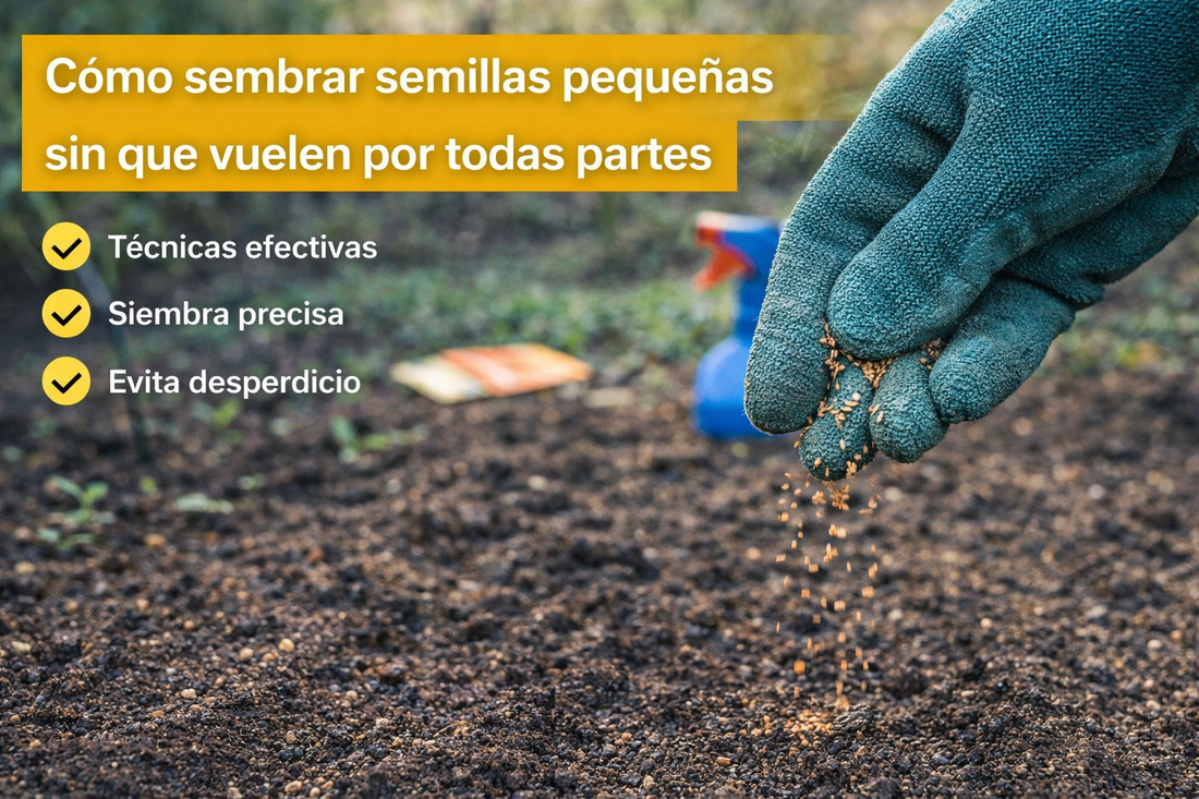 Cómo sembrar semillas pequeñas sin que vuelen por todas partes